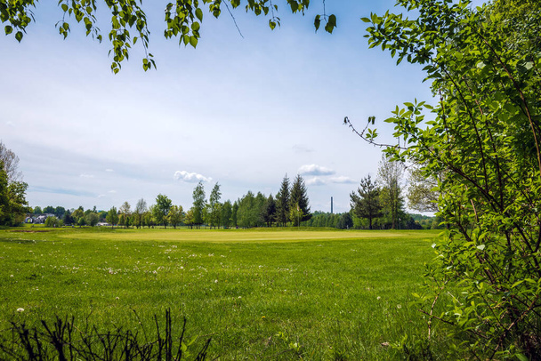 Golf course located in Bazantarnia Park in Siemianowice, Silesia, Poland. Perfectly cutted lawn surrounded by fresh trees. Fresh, awakening nature in May. Branches arranged into the picture frame. - Photo, image