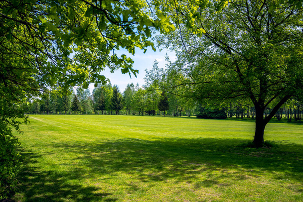 Pole golfowe w parku Bazantarnia w Siemianowicach, Śląsk, Polska. Doskonale przycięty trawnik otoczony zielonymi, świeżymi drzewami. Słoneczny, wiosenny dzień w Europie Środkowej. Golf jako działalność na świeżym powietrzu. - Zdjęcie, obraz