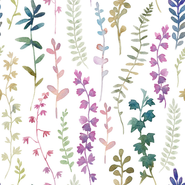 Beautiful floral seamless pattern with watercolor wild herbs and flowers. Stock illustration. - Zdjęcie, obraz