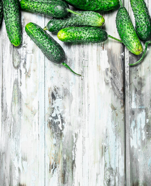 Ripe fresh cucumbers. On white rustic background - Zdjęcie, obraz