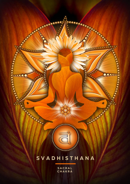 La meditación sacra del chakra en la pose del loto del yoga, delante del símbolo del chakra del svadhisthana y de la hoja del canna. Decoración pacífica para la meditación y la curación de la energía del chakra. - Foto, imagen