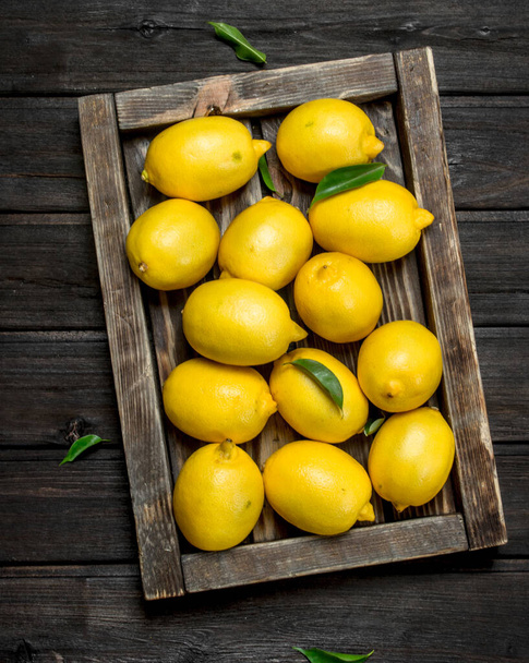 Ripe lemons in the tray. On black wooden background - Foto, Imagem