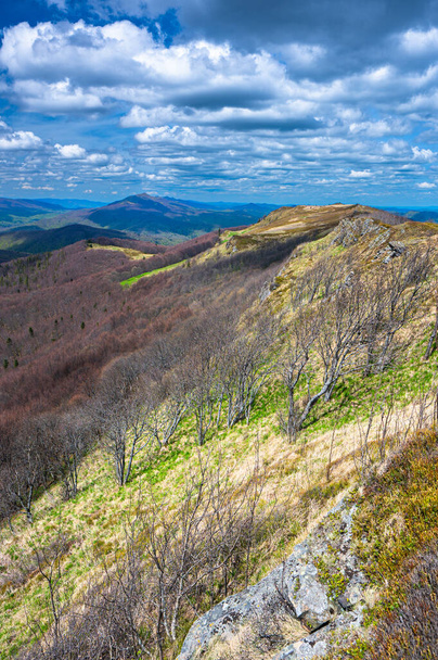 Spring mountain landscape. Bukowe Berdo in the Bieszczady Mountains, Poland. - Foto, Imagem