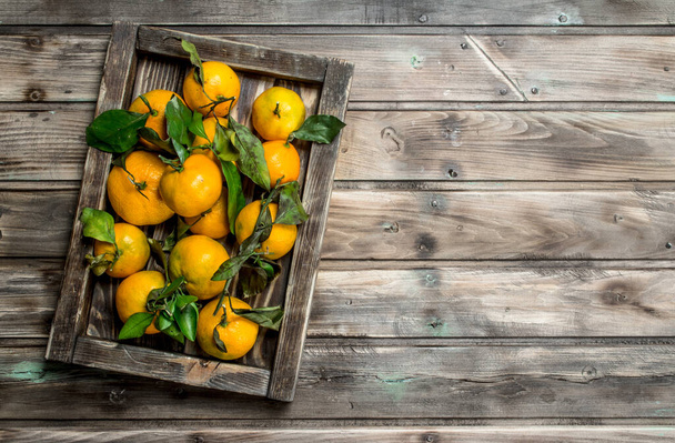 Mandarins with leaves on a tray. On wooden background - Photo, image