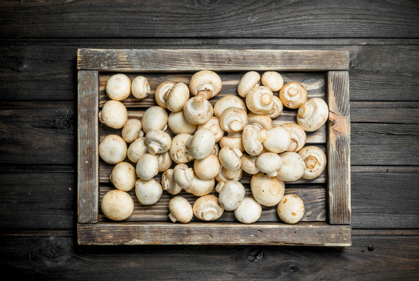 Fresh fragrant mushrooms in tray. On black wooden background - 写真・画像