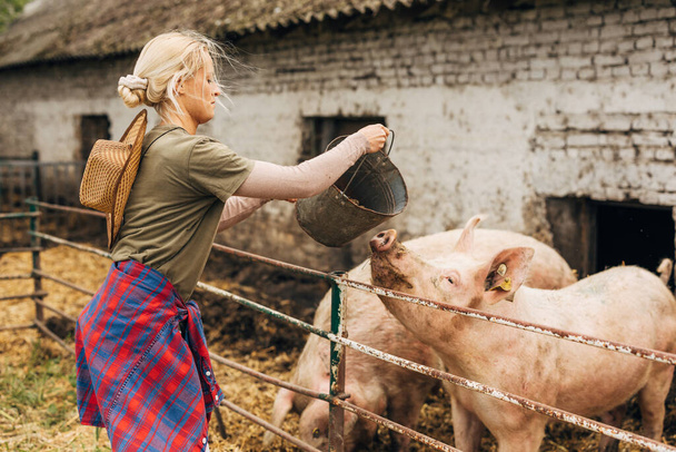A Caucasian woman feeds the pigs. - Foto, Imagen