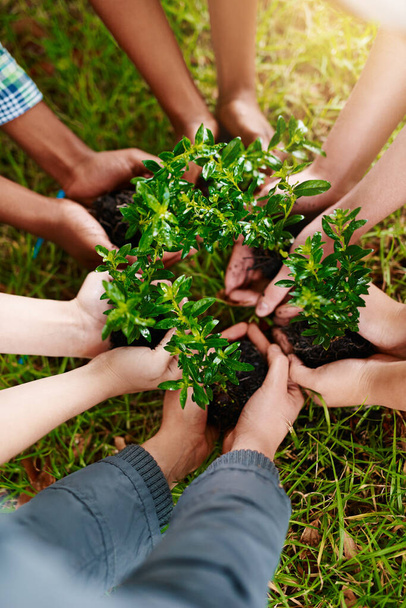 Rostliny, zahradničení a ruce lidí venku, výsadba zeleného růstu v půdě pro udržitelnost nebo zachování. Příroda, jaro a země den s týmem, který pracuje jako ekologická komunita. - Fotografie, Obrázek