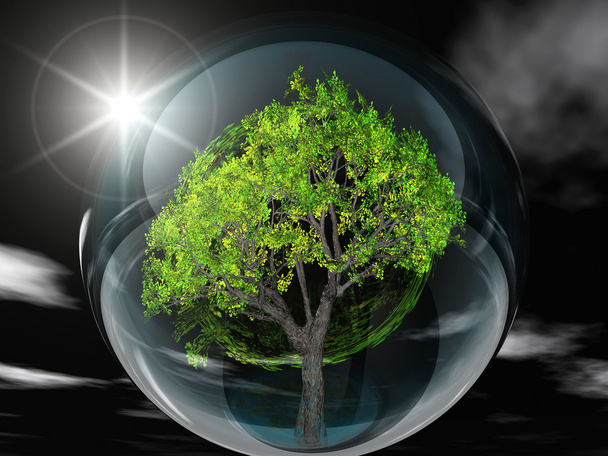 Зеленое дерево в пузыре
 - Фото, изображение