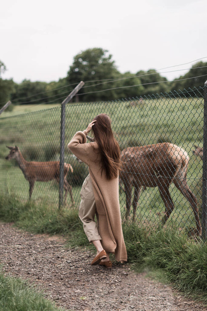 Woman feed deer. Wild animals concept. Woman feeding fawn. Animal at park. High quality photo - Foto, immagini