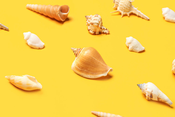 Different sea shells on yellow background, closeup - Valokuva, kuva
