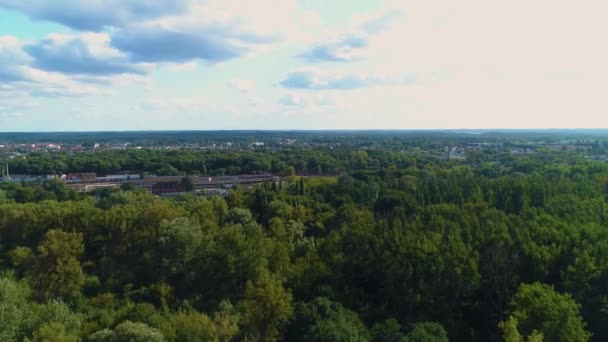 Küçük Vistula Nehri Rzeka Mala Wiselka Torun Hava Görüntüsü Polonya. Yüksek kalite 4k görüntü - Video, Çekim