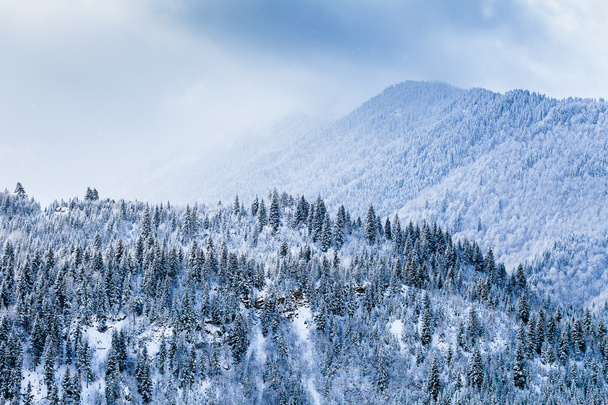 Pokryte śniegiem stoki gór Kaukazu, zimowy krajobraz - Zdjęcie, obraz