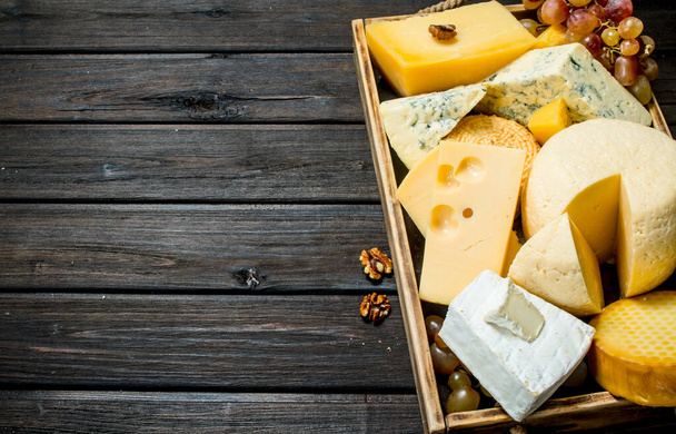 Different types of cheese in a wooden tray with grapes . On a wooden background. - Photo, Image
