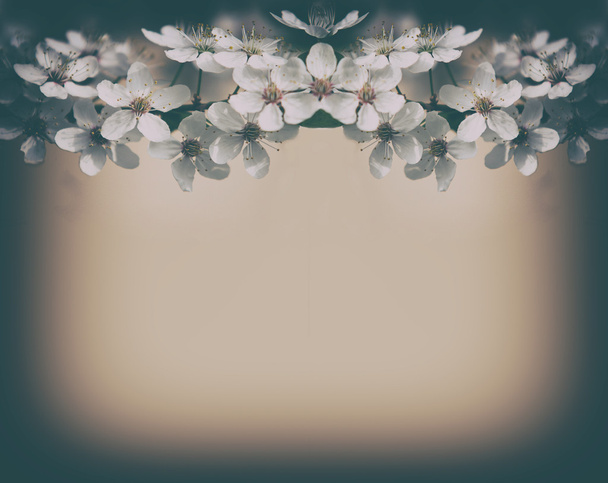 Jahrgang Kirschblüten Hintergrund - Foto, Bild