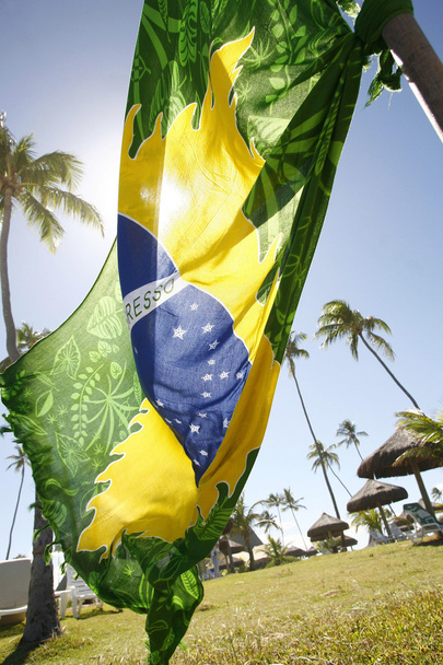ブラジルの国旗 - 写真・画像