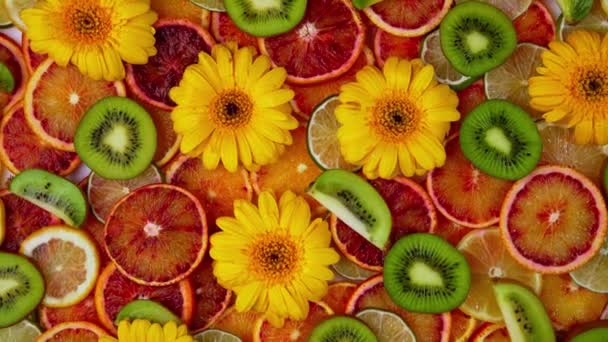 Čerstvé tropické kiwi a plátky citronu izolované na bílém pozadí. Přírodní ovoce bezešvé vzor textury pro krásu a lázeňskou koncepci. Horní pohled. Plocha. - Záběry, video