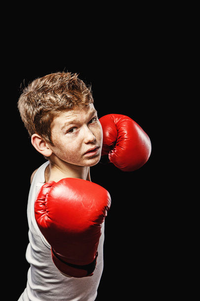 Dangerous boxer - Photo, Image