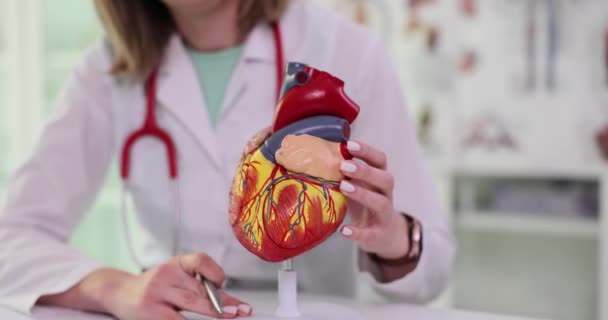 Mujer médico se gira y muestra modelo artificial de corazón humano. Estructura detallada del órgano humano en la oficina de la clínica ligera cámara lenta - Metraje, vídeo