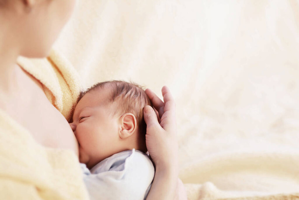 Mother breastfeeding her baby. Healthy lifestyle concept. - Fotografie, Obrázek