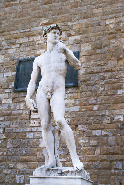 Replica of David statue by Michelangelo in Piazza della Signoria - Foto, immagini