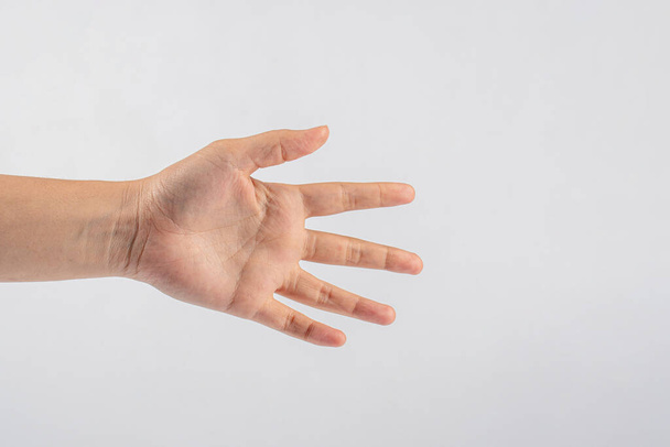 Beyaz arka planda baş parmak hareketi gösteren bir kadın eli - Fotoğraf, Görsel