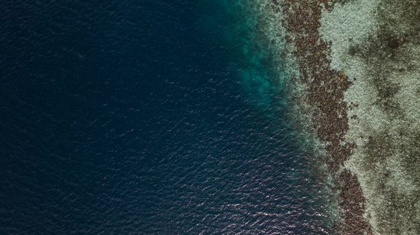 Dieses Foto fängt die ätherische Schönheit einer philippinischen Lagune ein. Das Wasser ist ein perfekter türkisfarbener Schatten, eingerahmt von einer felsigen Klippe und einem grünen Dschungel. Die ruhige Oberfläche wird nur von gelegentlichen Paddelbooten oder Kajaks durchbrochen, während die Besucher die  - Foto, Bild