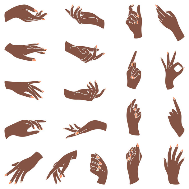 Набір красивих жіночих доглянутих рук. Колекція елегантних рук з зап'ястями та пальцями. Різні сигнали і вираз жестів. Палець вказує і жести. Невербальна мова
. - Вектор, зображення