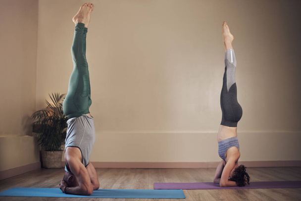 This is what fitness looks like. Full length shot of two unrecognizable yogis holding elbow stands during an indoor yoga session - Foto, Imagem