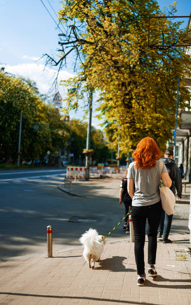 The dog with the owner goes on urban roadway - Valokuva, kuva