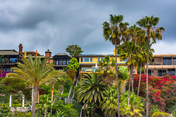 Palm trees and houses on cliffs above the Main Beach in Corona d - Foto, Bild