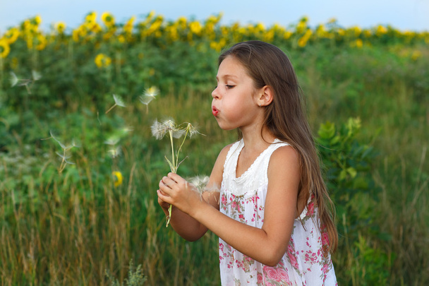 A little girl is in the field - Φωτογραφία, εικόνα