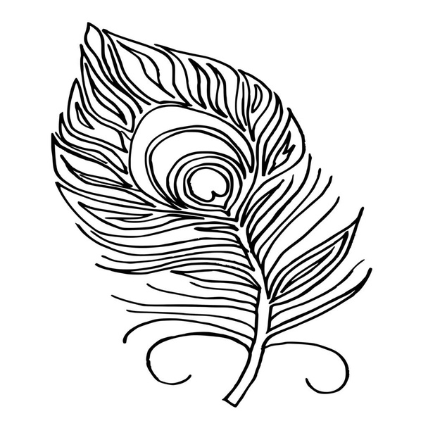 Векторный силуэт перьев на белом фоне - Вектор,изображение