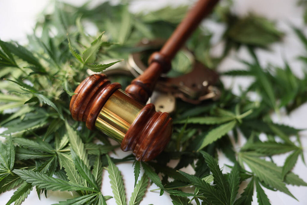 Soudce kladívko a pouta ležící na zelené marihuaně opouští detailní záběr. Trestní odpovědnost za distribuci a držení drog - Fotografie, Obrázek