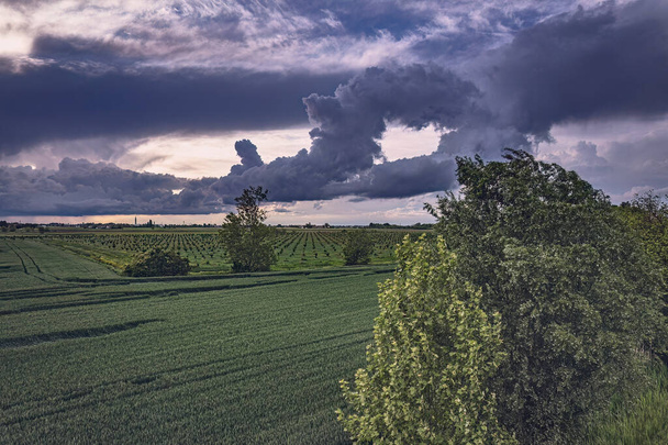 Drohende Gewitterwolken über den üppigen Feldern der Poebene, ein Anblick der Kraft der Natur in Norditalien - Foto, Bild