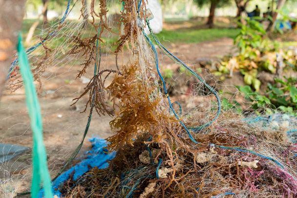 Montones de redes de pesca y algas en el muelle del puerto - Foto, imagen