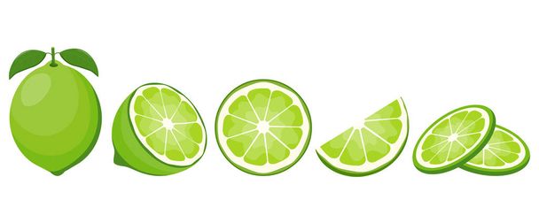 Čerstvé citrónové ovoce. Kolekce vápencových vektorových ikon izolovaných na bílém pozadí. Vektorová ilustrace - Vektor, obrázek