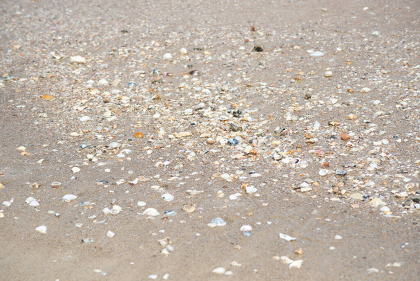 guijarros y conchas en la arena de la playa de Guaibim, en la ciudad turística de Valenca, Bahía. - Foto, imagen