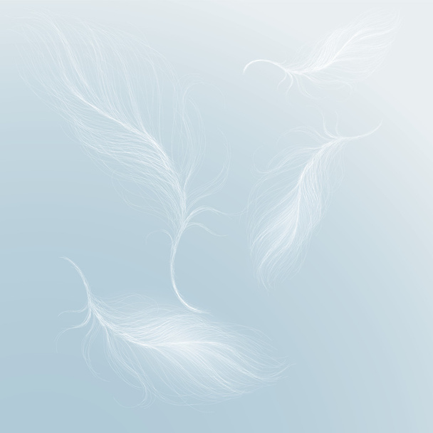 Feather on the sky - Vector, Image