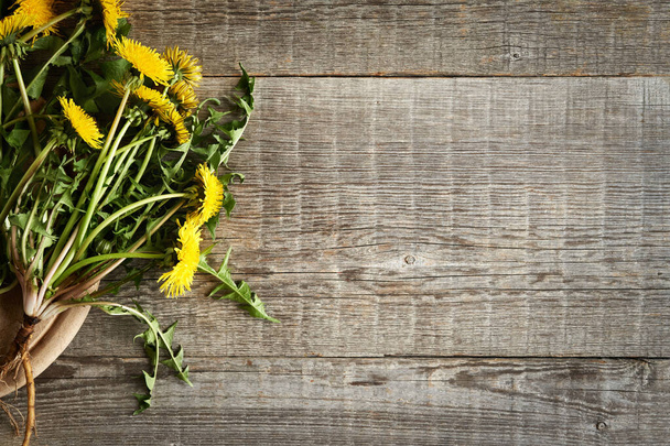 Fresh blooming dandelion plants with roots on a wooden background, with copy space - Fotografie, Obrázek