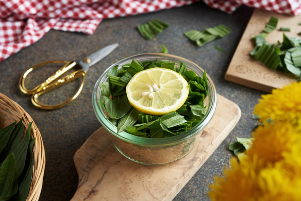 Vaso di vetro riempito con foglie di ribwort tritate, limone e zucchero per preparare lo sciroppo di erbe - Foto, immagini