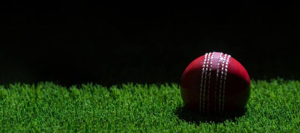 Cricketball mit natürlicher Beleuchtung auf grünem Gras. Horizontales Sport-Themenposter, Grußkarten, Kopfzeilen, Website und App - Foto, Bild