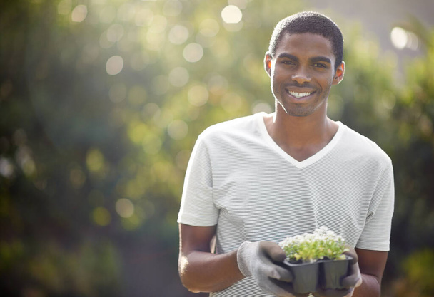Black man, sustainability and plant growth in nature for nature, environment development and mockup space. Gardener, growing and sustainable eco friendly work of a person with care for gardening. - Photo, Image