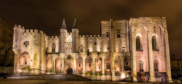 Palais des Papes in Avignon, Património da UNESCO, França
 - Foto, Imagem