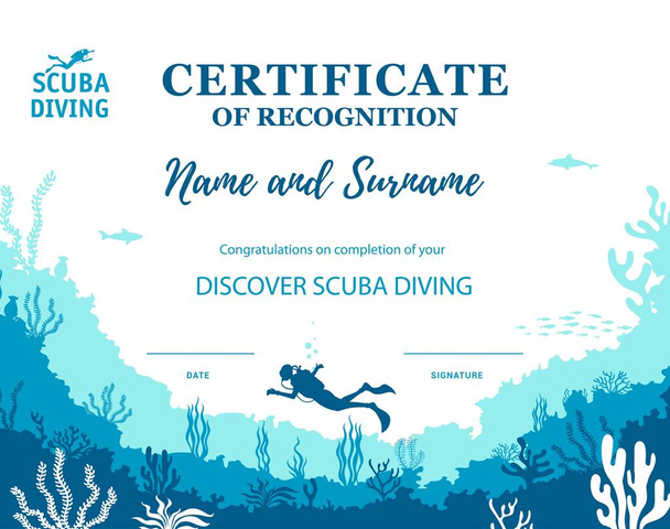Certificato subacqueo, modello di diploma di club subacqueo. Diploma vincente di competizione sportiva subacquea, diploma di professione o certificato vettoriale di qualifica con silhouette di alghe marine sul fondo dell'oceano - Vettoriali, immagini