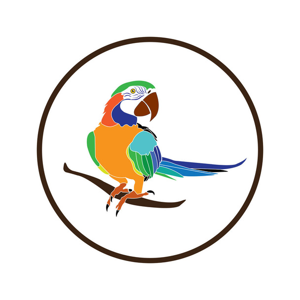 Papagei Symbol Vektor Illustration Symbol Design - Vektor, Bild
