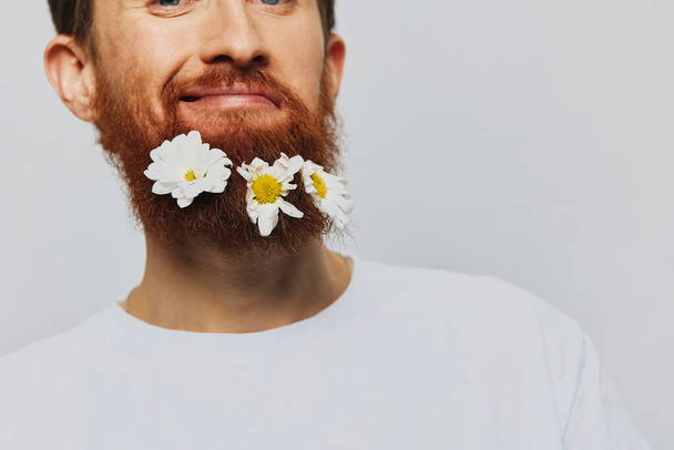 Muotokuva hauska mies valkoinen T-paita kukkia koiranputkea hänen parta valkoinen eristetty tausta, kopioi paikka. Lomakonsepti ja onnittelut. Laadukas kuva - Valokuva, kuva