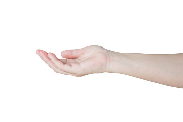 donna mano aperta gesto tenendo qualcosa di isolato su sfondo bianco - Foto, immagini