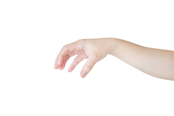 vrouw hand gebaar houden iets geïsoleerd op witte achtergrond - Foto, afbeelding