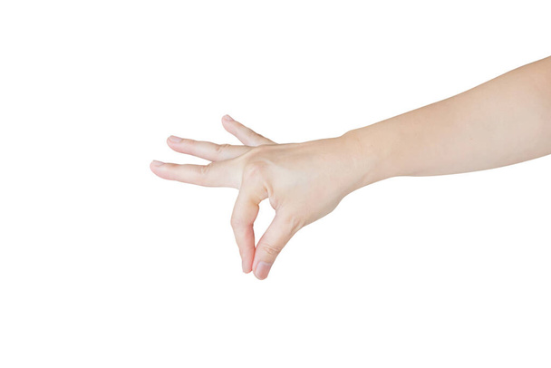 白い背景に隔離された何かを保持する女性の手のジェスチャー - 写真・画像