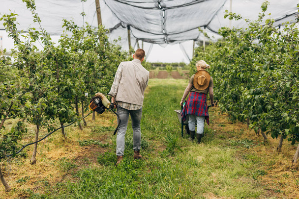 Back view of a woman pushing the cart and a man carrying the trimmer for the grass in the orchard. - Fotografie, Obrázek